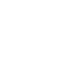 Local & State Government